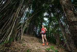 BIB: 
                            <button type="button" onclick="openModal(19395222)" class="btn btn-primary btn-sm float-right btn-popup" data-toggle="modal" data-target=".modal-high-quality">
                        <i class="fas fa-shopping-cart"></i> Add to Cart
                    </button>
                                            <button type="button" onclick="isThisMe(19395222, true)" class="btn btn-success btn-sm float-right btn-popup btn-isme hidden" data-toggle="tooltip" data-placement="bottom" title="นี่คือรูปของคุณใช่ไหม คลิกที่นี่เพื่อเอาเข้าอัลบั้ม">
                        <i class="fas fa-plus"></i> Add to album
                    </button>
                    <button type="button" onclick="isThisMe(19395222, false)" class="btn btn-warning btn-sm float-right btn-popup btn-isnotme hidden">
                        <i class="fas fa-ban"></i> Remove from album
                    </button>